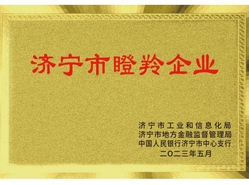 濟寧市瞪羚企業(市級)